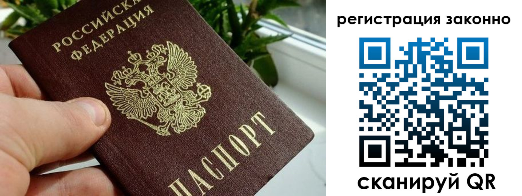 прописка гарантия в Магаданской области